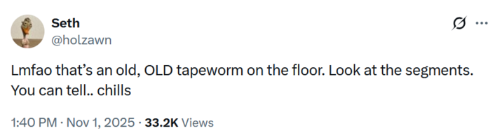 Tweet by X user @holzawn that reads, "Lmfao that’s an old, OLD tapeworm on the floor. Look at the segments. You can tell.. chills."