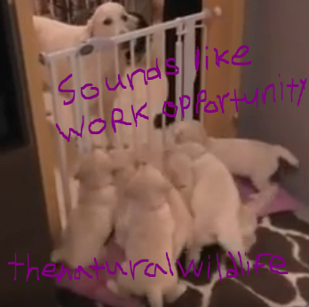 Sounds like WORK Portunity the tural