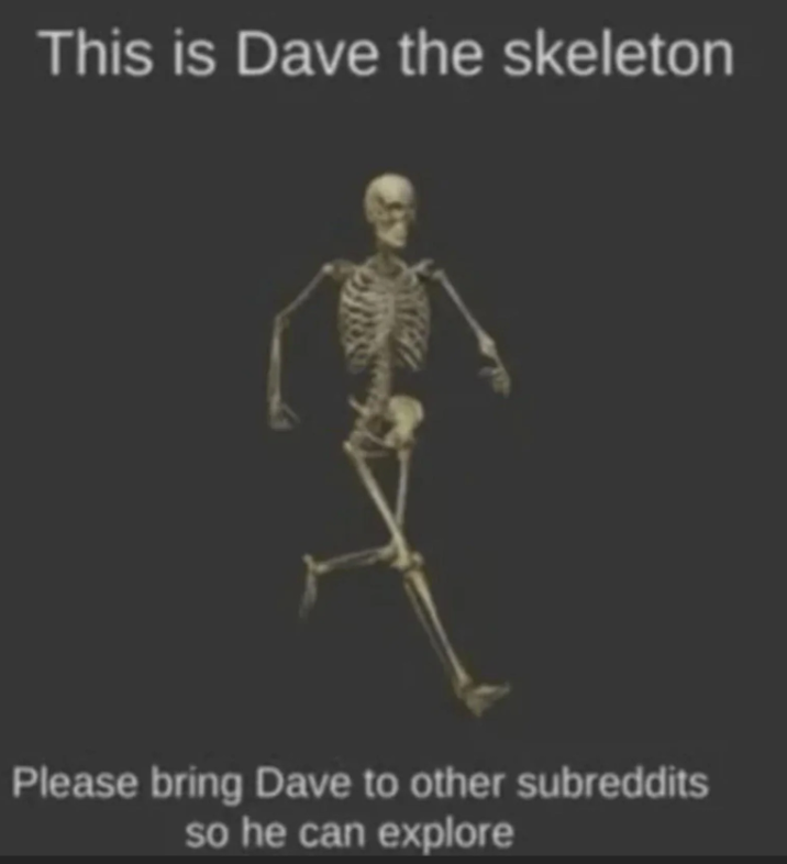 This is Dave the skeleton Please bring Dave to other subreddits so he can explore