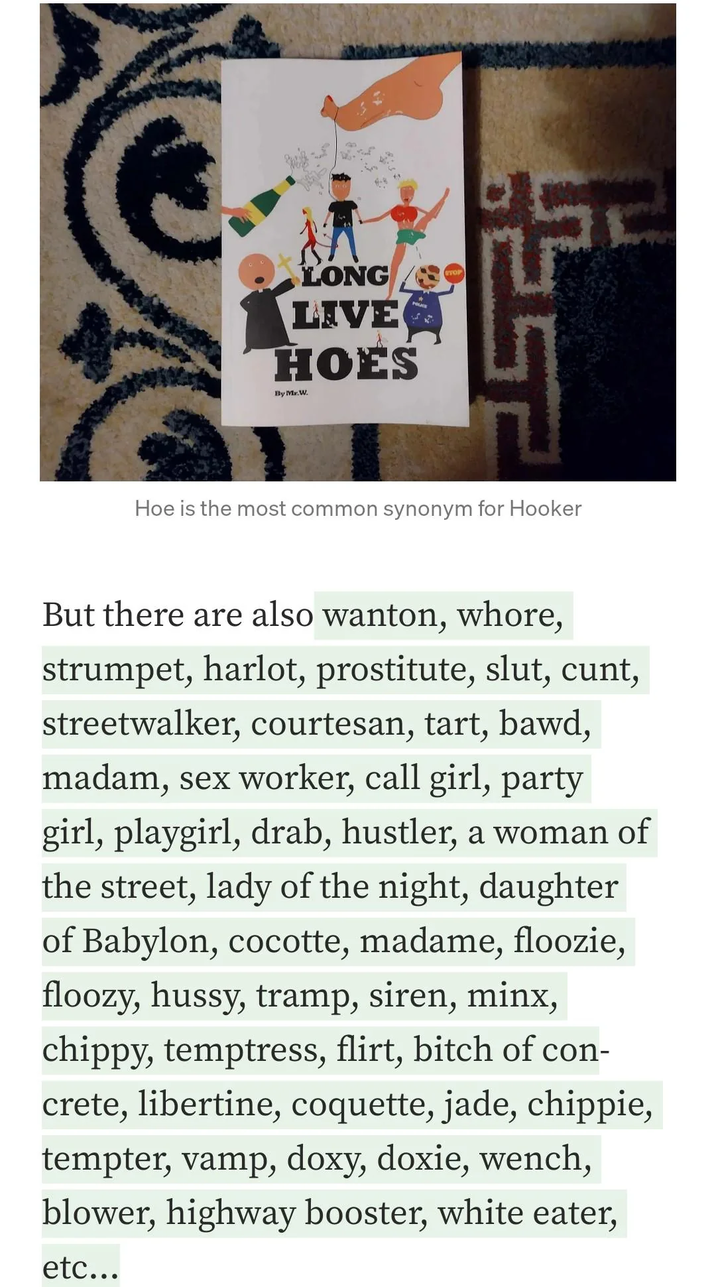 LONG LIVE PO HOES By Mr.W. STOP F Hoe is the most common synonym for H----- But there are also wanton, w----, strumpet, harlot, prostitute, slut, c---, streetwalker, courtesan, tart, bawd, madam, sex worker, call girl, party girl, playgirl, drab, hustler, a woman of the street, lady of the night, daughter of Babylon, cocotte, madame, floozie, floozy, hussy, tramp, siren, minx, chippy, temptress, flirt, bitch of con- crete, libertine, coquette, jade, chippie, tempter, vamp, doxy, doxie, wench, blower, highway booster, white eater, etc...