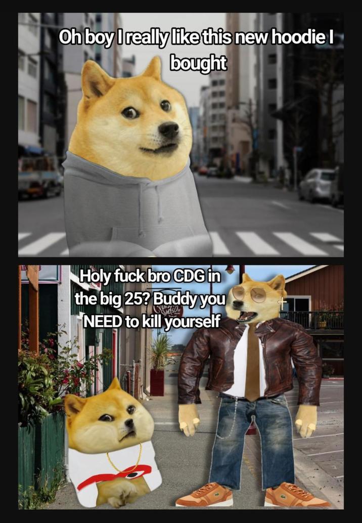 Oh boy I really like this new hoodie I bought Holy f--- bro CDG in the big 25? Buddy you NEED to kill yourself