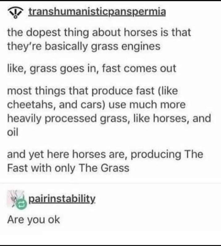 transhumanisticpanspermia the dopest thing about horses is that they're basically grass engines like, grass goes in, fast comes out most things that produce fast (like cheetahs, and cars) use much more heavily processed grass, like horses, and oil and yet here horses are, producing The Fast with only The Grass pairinstability. Are you ok