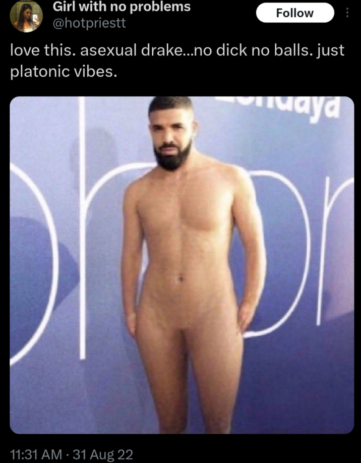 A tweet by hotpriestt. It reads, "love this. asexual drake…no d--- no balls. just platonic vibes."