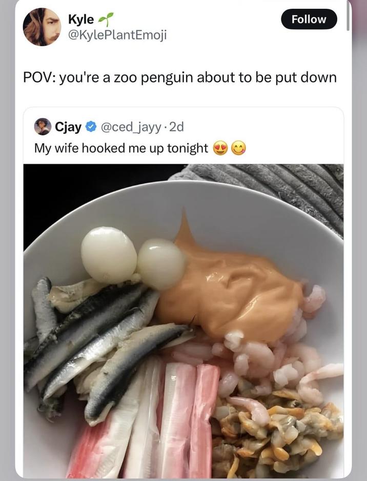 Kyle @KylePlantEmoji Follow POV: you're a zoo penguin about to be put down OCjay @ced_jayy.2d My wife hooked me up tonight AA