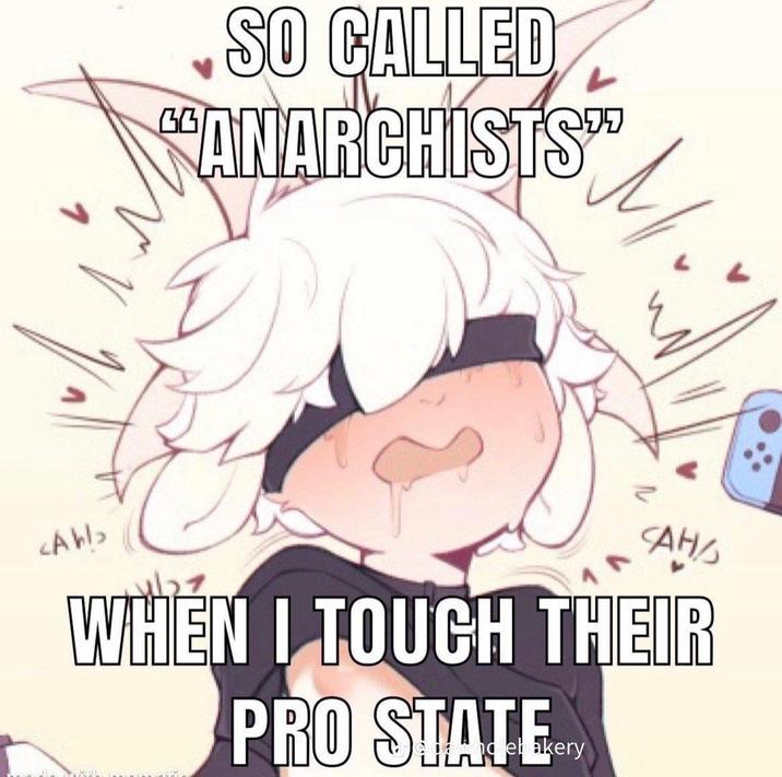 SO CALLED "ANARCHISTS" M <AWb> CAHA WHEN I TOUCH THEIR PRO STATE. akery