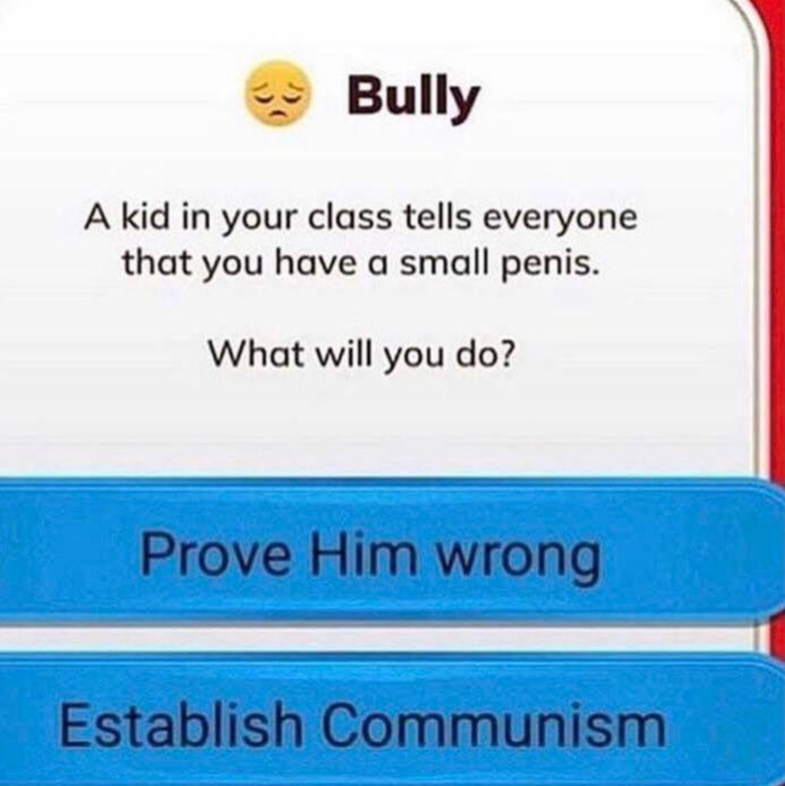 Bully A kid in your class tells everyone that you have a small penis. What will you do? Prove Him wrong Establish Communism