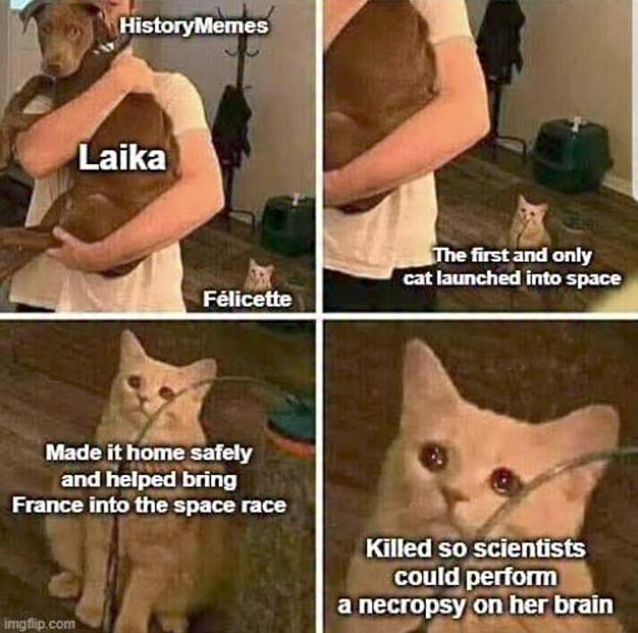 HistoryMemes Laika Félicette The first and only cat launched into space Made it home safely and helped bring France into the space race Killed so scientists could perform a necropsy on her brain imgflip.com