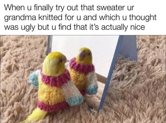 When u finally try out that sweater ur grandma knitted for u and which u thought was ugly but u find that it's actually nice