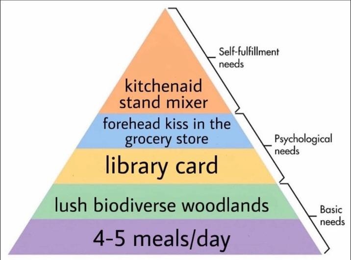 Self-fulfillment needs kitchenaid stand mixer forehead kiss in the grocery store library card lush biodiverse woodlands 4-5 meals/day Psychological needs Basic needs