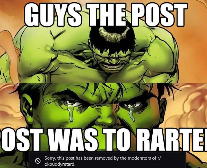 GUYS THE POST OST WAS TO RARTE Sorry, this post has been removed by the moderators of r/ okbuddyretard.