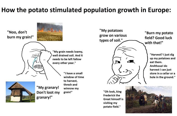 How the potato stimulated population growth in Europe: "Noo, don't burn my grain!" - "My grain needs loamy, well drained soil. And it needs to be left fallow every other year." "My granary! "I have a small window of time to harvest, thresh and winnow my Don't loot my grain!" granary!" "My potatoes grow on various types of soil." "Oh look, king Frederick the Great himself is visiting my potato field." "Burn my potato field? Good luck with that!" "Harvest? I just dig up my potatoes and eat them. Andthosel do harvest i can just store in a cellar or a hole in the ground."