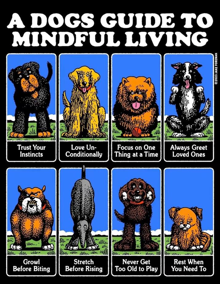 A DOGS GUIDE TO MINDFUL LIVING le 13277 الا باد Trust Your Instincts Love Un- Conditionally Focus on One Thing at a Time Always Greet Loved Ones االد Growl Before Biting Stretch IVA. Never Get Se se ددال Rest When Before Rising Too Old to Play You Need To 2023 JAKE FOREMAN