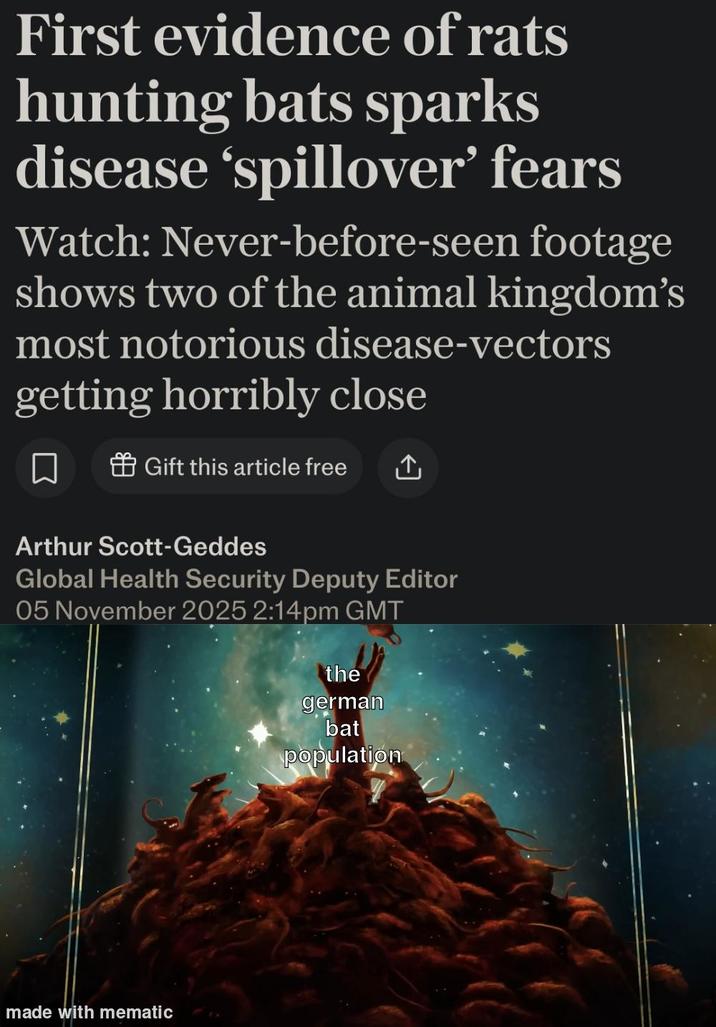First evidence of rats hunting bats sparks disease 'spillover' fears Watch: Never-before-seen footage shows two of the animal kingdom's most notorious disease-vectors getting horribly close ☐ Gift this article free ↑ Arthur Scott-Geddes Global Health Security Deputy Editor 05 November 2025 2:14pm GMT the made with mematic german bat population