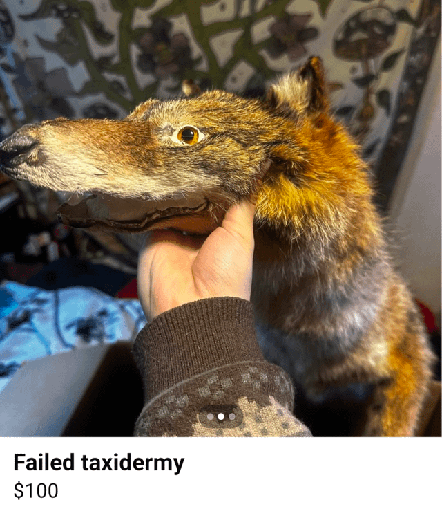 Failed taxidermy $100