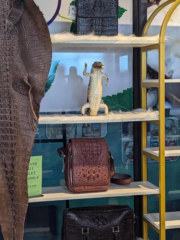 AND ALL LET ODILE LE OFF 7009