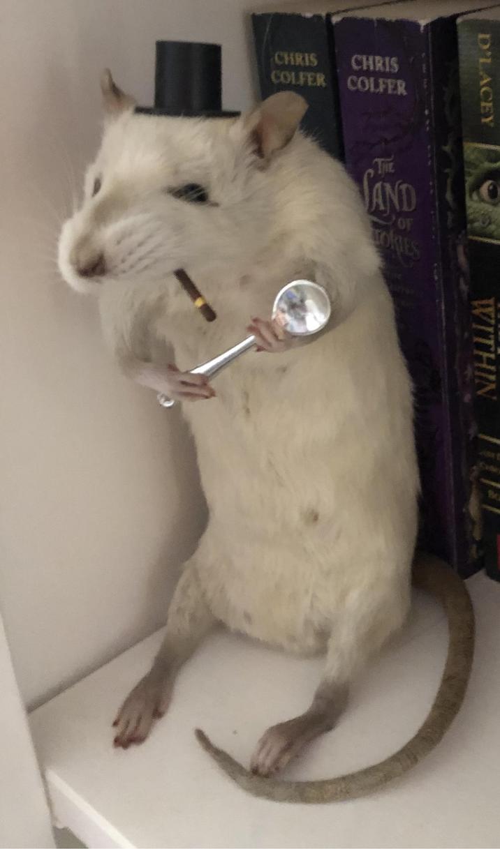 CHRIS CHRIS COLFER COLFER D'LACEY THE SAND OF OKIES WITHIN