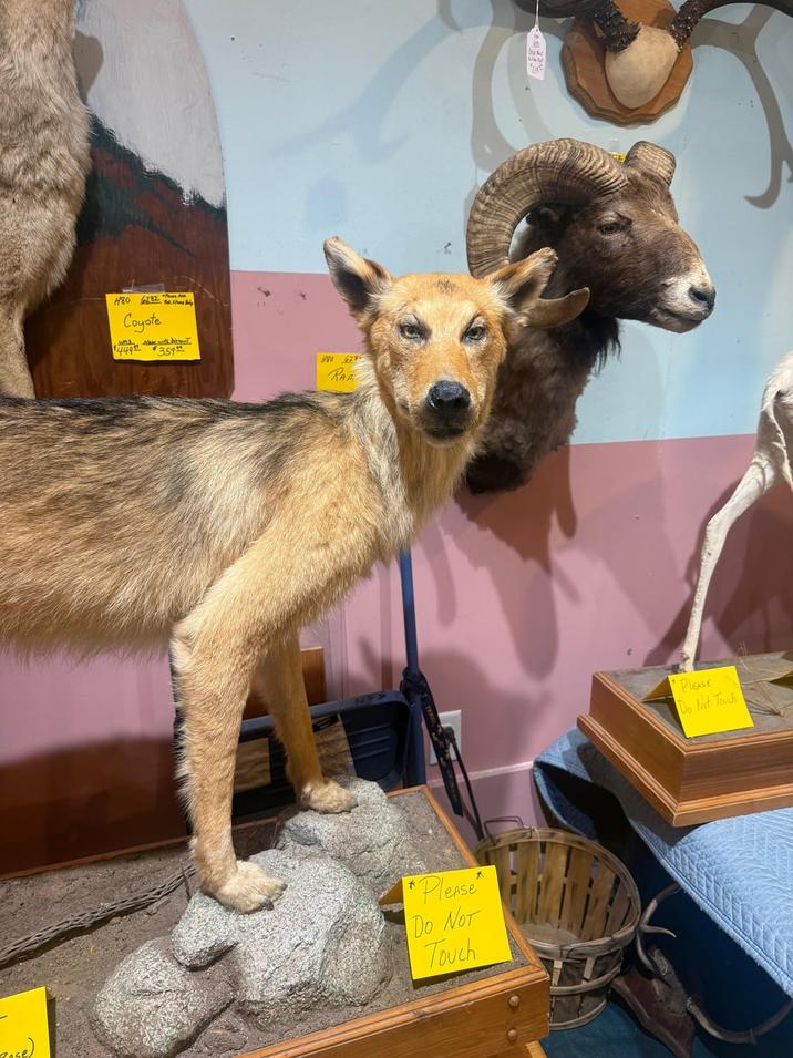 H80 282 este p Coyote 449 359 H80 629 RA *Please" Do NOT Touch * PLEASE Do Not Touch