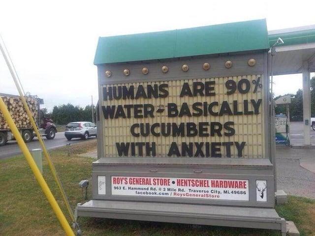 HUMANS ARE 90% WATER BASICALLY CUCUMBERS WITH ANXIETY. ROY'S GENERAL STORE HENTSCHEL HARDWARE 963 E. Hammond Rd. 3 Mile Rd. Traverse City, Mi. 49686 facebook.com/RoysGeneralStore