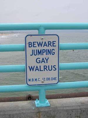 BEWARE JUMPING GAY WALRUS M.B.M.C. 12.08.04E