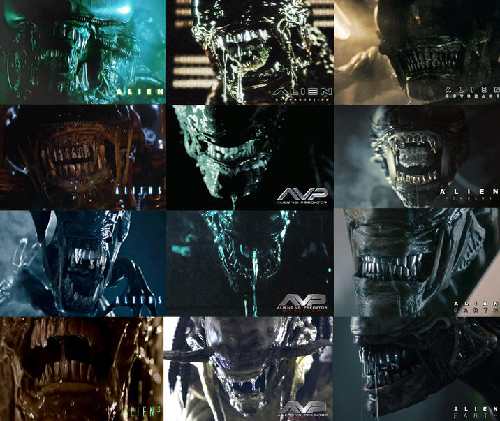 LIEN LIEN ALIEN COVENANT AVP ALIEN VS. PREDATOR ALIEN ROMULUS V ALIENS VS PREDATOR ALEN EARTH LIEN 3 ALIENS VS PREDATOR ALIEN EARTH
