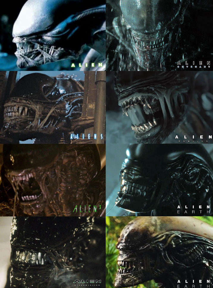 ALIEN ALIEN VENANT ALIENS ALIEN ROMULUS ALIEN ALIEN EARTH ALIEN ALIEN EARTH