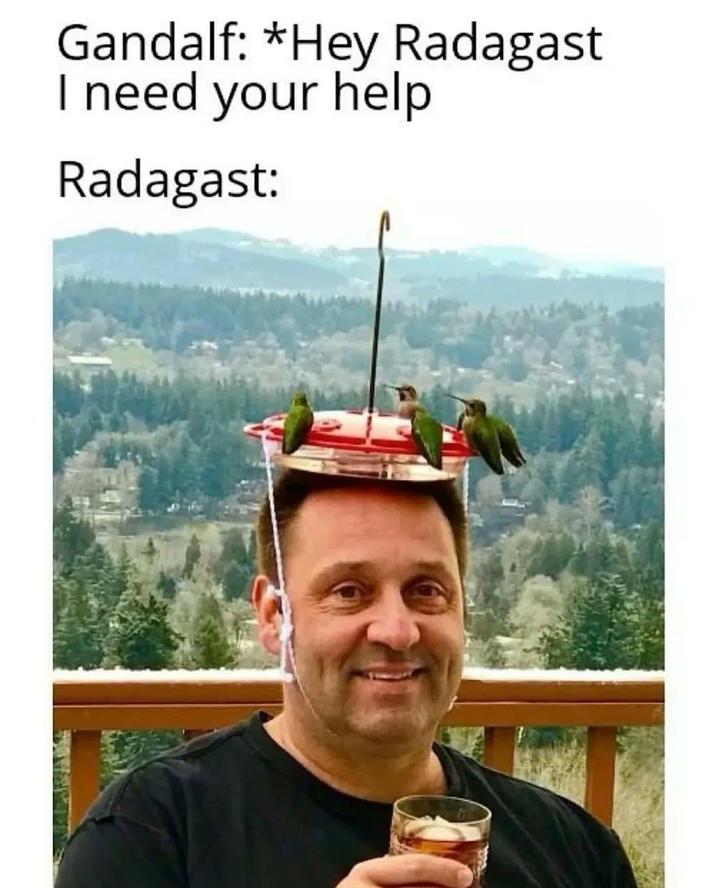 Gandalf: *Hey Radagast I need your help Radagast: