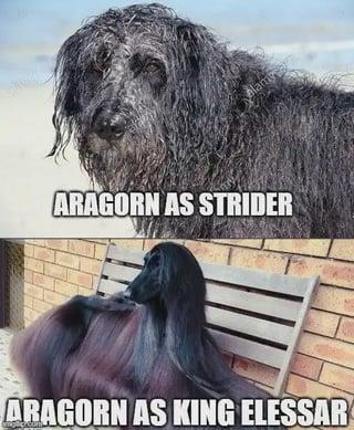 Alamy ARAGORN AS STRIDER ARAGORN AS KING ELESSAR