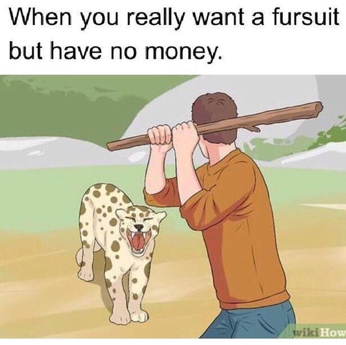 When you really want a fursuit but have no money. wiki How