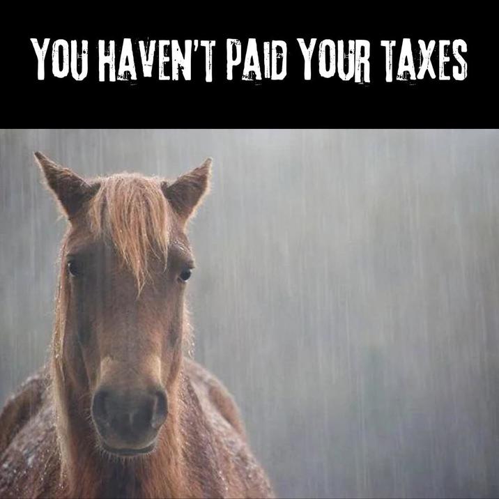 YOU HAVEN'T PAID YOUR TAXES