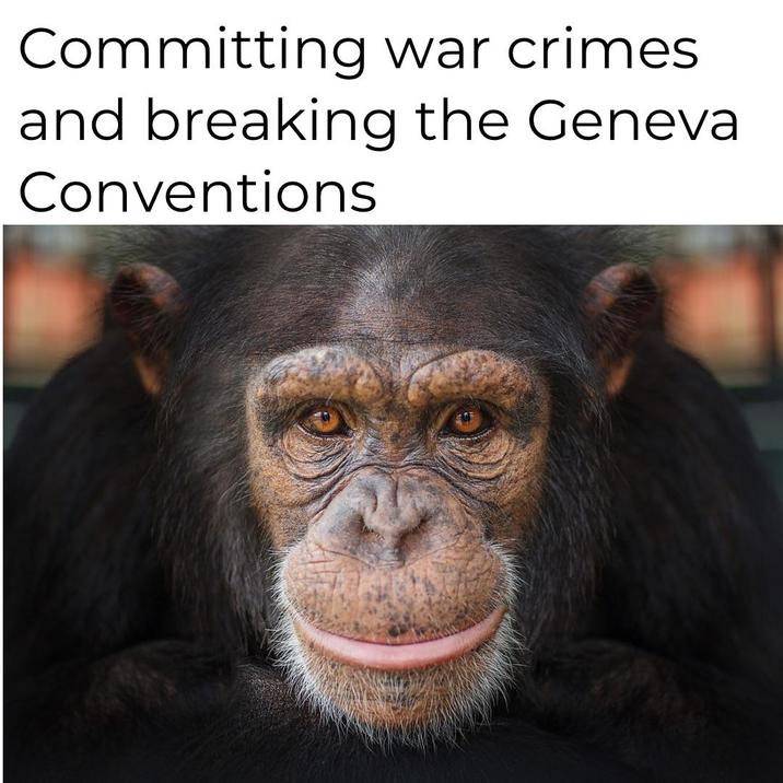 Committing war crimes and breaking the Geneval Conventions