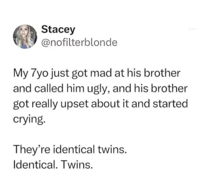 Stacey @nofilterblonde My 7yo just got mad at his brother and called him ugly, and his brother got really upset about it and started crying. They're identical twins. Identical. Twins.