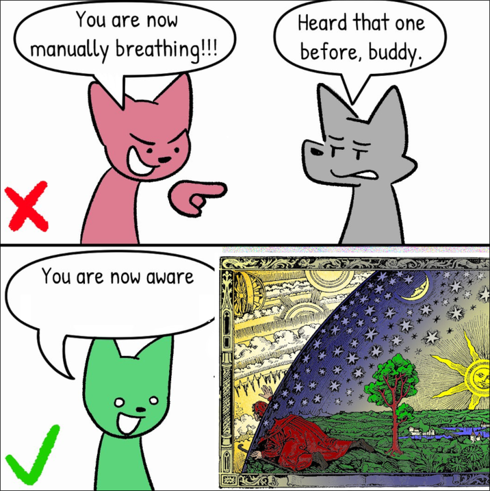 You are now manually breathing!!! Heard that one before, buddy. ✓ You are now aware te