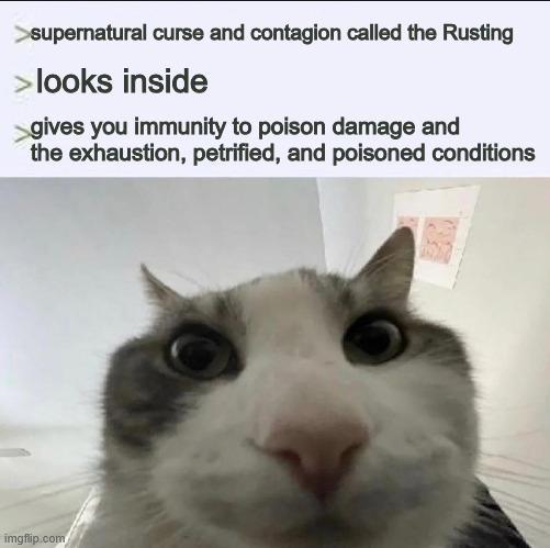 >supernatural curse and contagion called the Rusting > looks inside >gives you immunity to poison damage and the exhaustion, petrified, and poisoned conditions imgflip.com