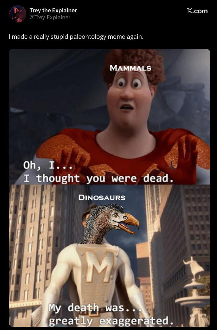 Trey the Explainer @Trey_Explainer I made a really stupid paleontology meme again. MAMMALS Oh, I... I thought you were dead. DINOSAURS M My death was.. greatly exaggerated. X.com