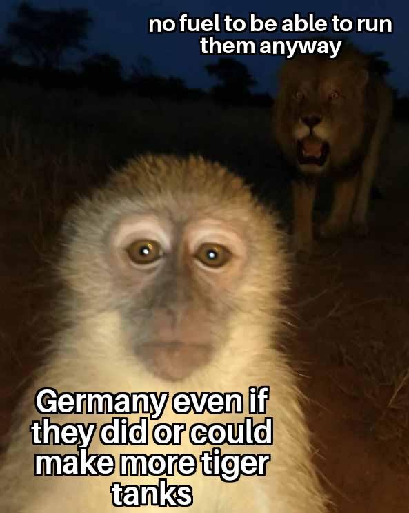 no fuel to be able to run them anyway Germany even if they did or could make more tiger tanks