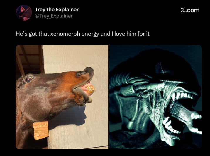 Trey the Explainer @Trey_Explainer He's got that xenomorph energy and I love him for it X.com