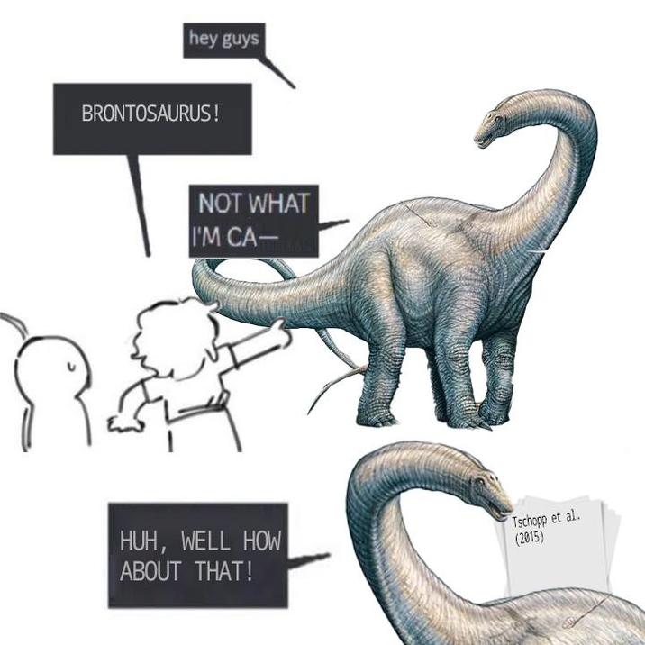 hey guys BRONTOSAURUS! NOT WHAT I'M CA- HUH, WELL HOW ABOUT THAT! Tschopp et al. (2015)