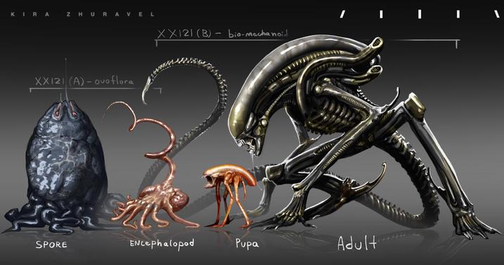 KIRA ZHURAVEL 1 XX121 (B) – bio-mechanoid XX121 (A)-ovoflora ALD L SPORE ENcephalopod Pupa Adult