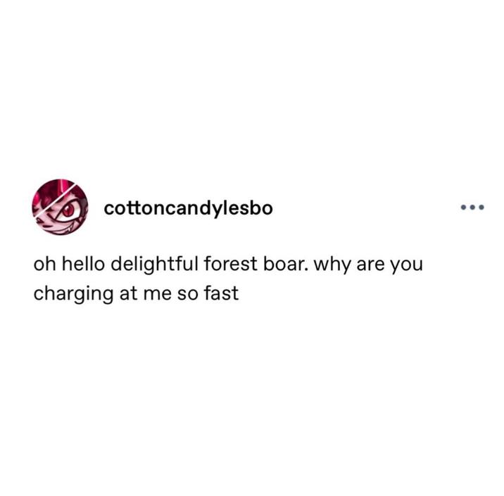 cottoncandylesbo oh hello delightful forest boar. why are you charging at me so fast