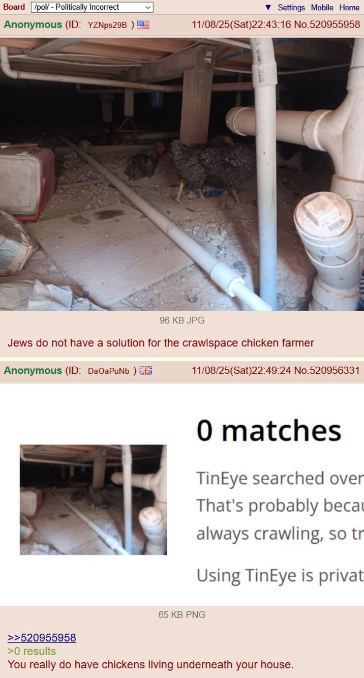 Board /pol/ - Politically Incorrect Anonymous (ID: YZNps29B) Settings Mobile Home 11/08/25(Sat)22:43:16 No.520955958 96 KB JPG Jews do not have a solution for the crawlspace chicken farmer Anonymous (ID: DaOaPuNb) 11/08/25(Sat)22:49:24 No.520956331 0 matches TinEye searched over That's probably becau always crawling, so tr Using TinEye is privat 65 KB PNG >>520955958 >0 results You really do have chickens living underneath your house.