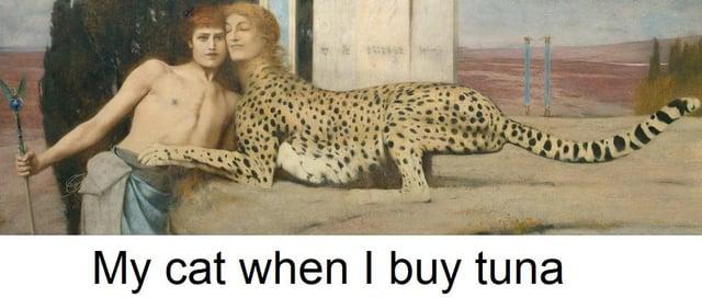 My cat when I buy tuna