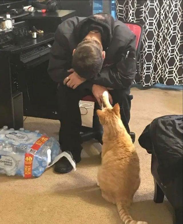 PACK Drinking Water 40
