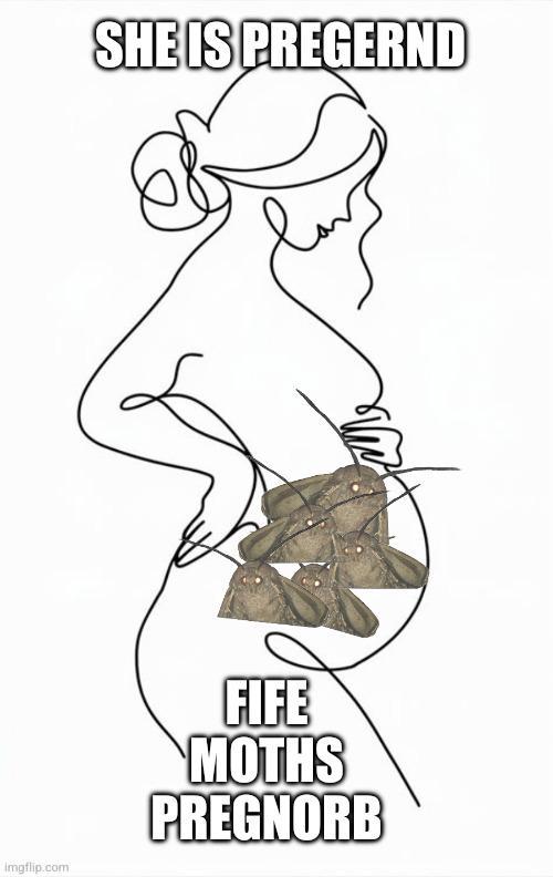 SHE IS PREGERND Imgflip.com FIFE MOTHS PREGNORB