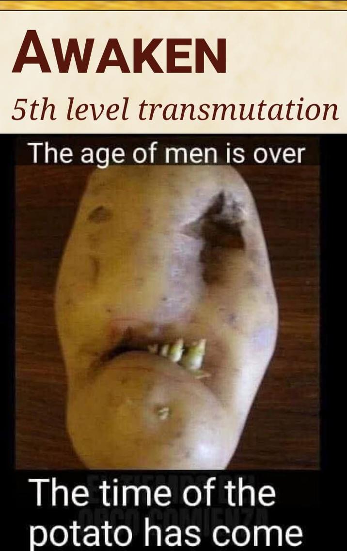 AWAKEN 5th level transmutation The age of men is over The time of the potato has come
