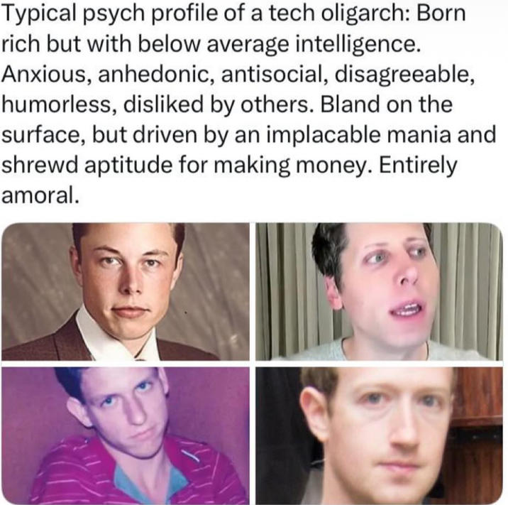 Typical psych profile of a tech oligarch: Born rich but with below average intelligence. Anxious, anhedonic, antisocial, disagreeable, humorless, disliked by others. Bland on the surface, but driven by an implacable mania and shrewd aptitude for making money. Entirely amoral.
