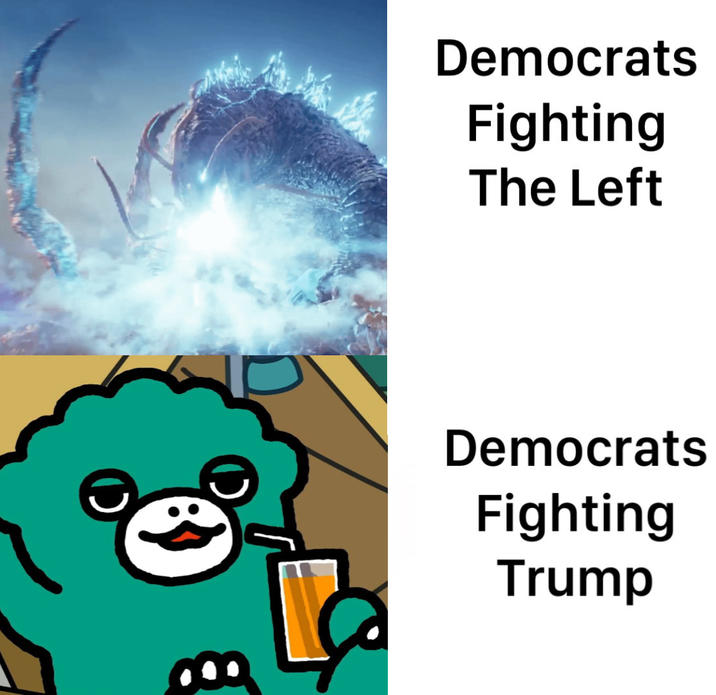 Democrats Fighting The Left Democrats Fighting Trump