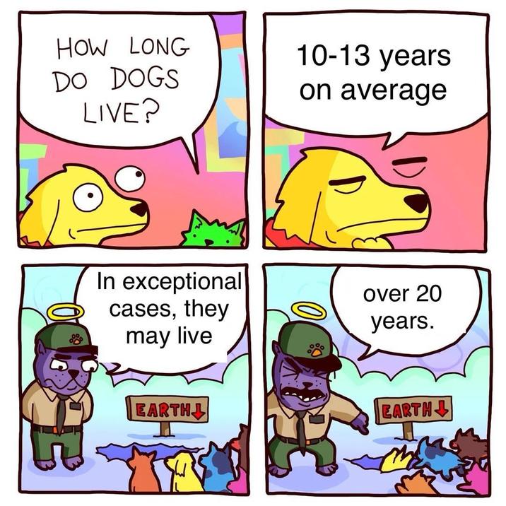 HOW LONG DO DOGS LIVE? 10-13 years on average In exceptional cases, they may live over 20 years. EARTH EARTH