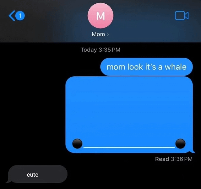 1 M Mom > Today 3:35 PM mom look it's a whale cute Read 3:36 PM