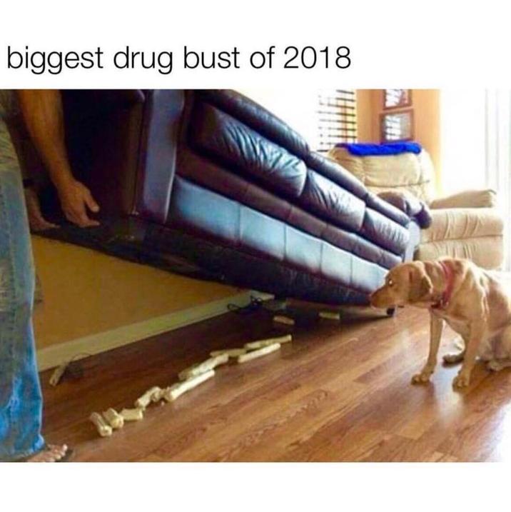 biggest drug bust of 2018