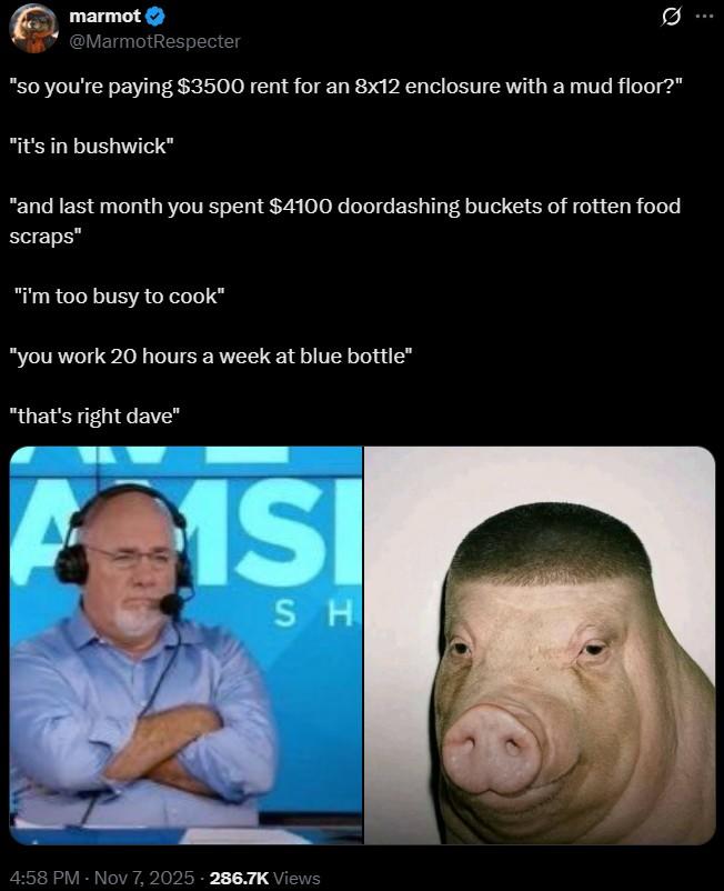 marmot @MarmotRespecter Ø... "so you're paying $3500 rent for an 8x12 enclosure with a mud floor?" "it's in bushwick" "and last month you spent $4100 doordashing buckets of rotten food scraps" "I'm too busy to cook" "you work 20 hours a week at blue bottle" "that's right dave" A 1SI SH 4:58 PM - Nov 7, 2025 -286.7K Views
